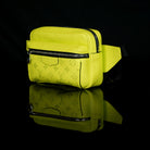 Louis Vuitton-Bumbag-8.27 x 6.69 x 1.97 inches ( length x height x width ) 20.8 x H 16.7 x W 5 cm/L 8.2 x H 6.6 x W 2.0 inches Lime Green Taïga cowhide leather and Monogram Bahia coated canvas Cowhide leather trim Textile lining Silver-colour hardware Adj